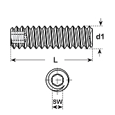 Grani Unbrako® I-6-Kt. ZN 45 H 