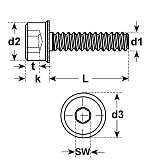 Viti di sicurezza I-6-Kt. INBUS-RIPP® ZB 100 
