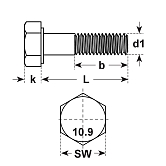 Vis à tête hexagonale 10.9 zingué-bleu DIN 960 MF 