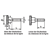 Vis à tête moletée acier zingué-bleu DIN 464 