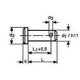 Boulon avec trou pour goupille acier ZB DIN 1434 